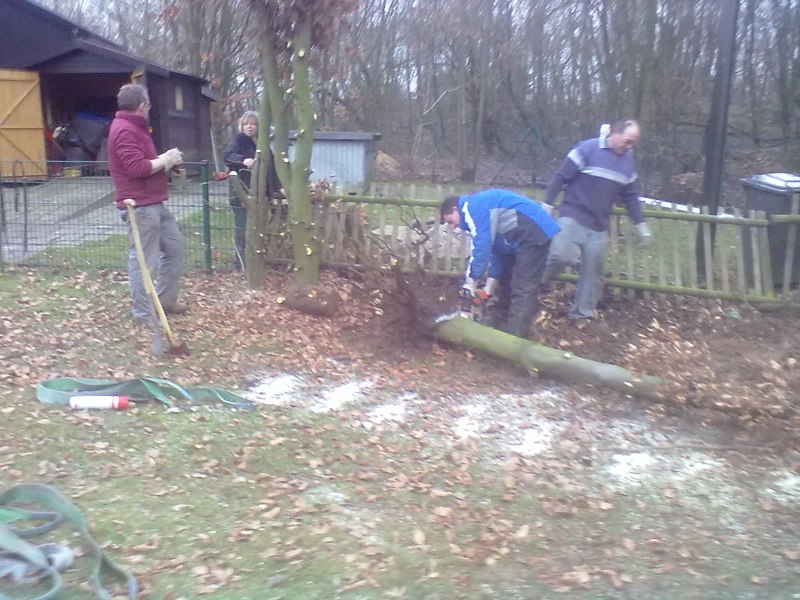 freischnitt1_20110327_1368030356