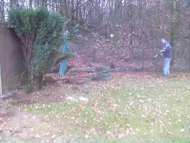 freischnitt2_20110327_1866952301