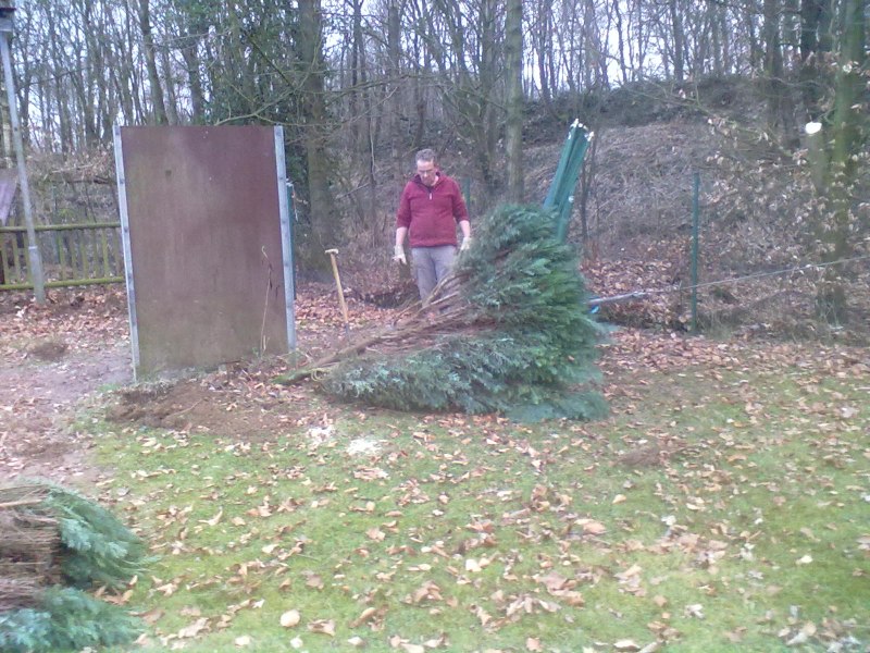 freischnitt3_20110327_1213261912