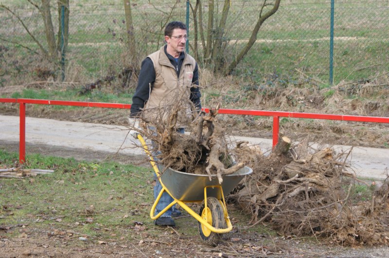 freischnitt4_20110327_1043745437