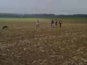 faehrten_20101205_1969446022