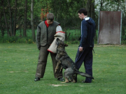 vpg13_20110611_2022396015