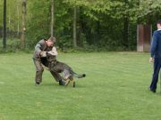 vpg1_20110611_1879851151