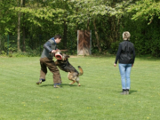 vpg2_20110611_1134227449