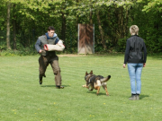 vpg3_20110611_1540191845