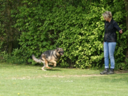 vpg4_20110611_1429618651