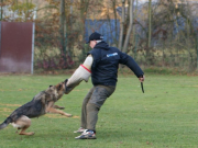 29vpg_vranzi4_20111224_1113325969