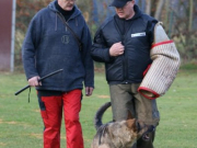 30vpg_vranzi5_20111224_1202257306