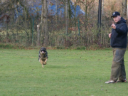 31vpg_emma1_20111224_1917926550