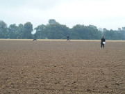 andy_mit_voxi_20101205_1572489106