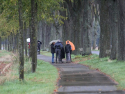 regen2_20121113_1980125493